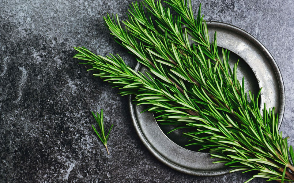 Δεντρολίβανο - Εκλεκτά της γης