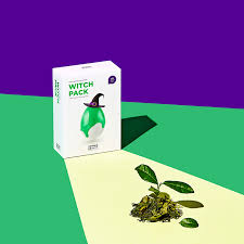 Skin1004 Witch Pack Zombie Beauty by Skin1004 16τεμάχια - Image 9